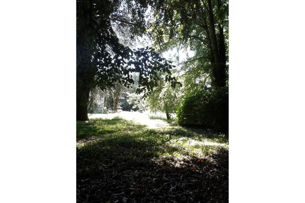 Bulmer Tye House Middleton  Εξωτερικό φωτογραφία