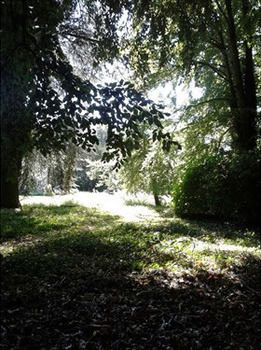 Bulmer Tye House Middleton  Εξωτερικό φωτογραφία