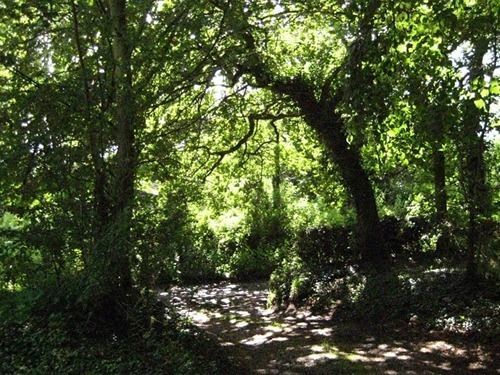 Bulmer Tye House Middleton  Εξωτερικό φωτογραφία